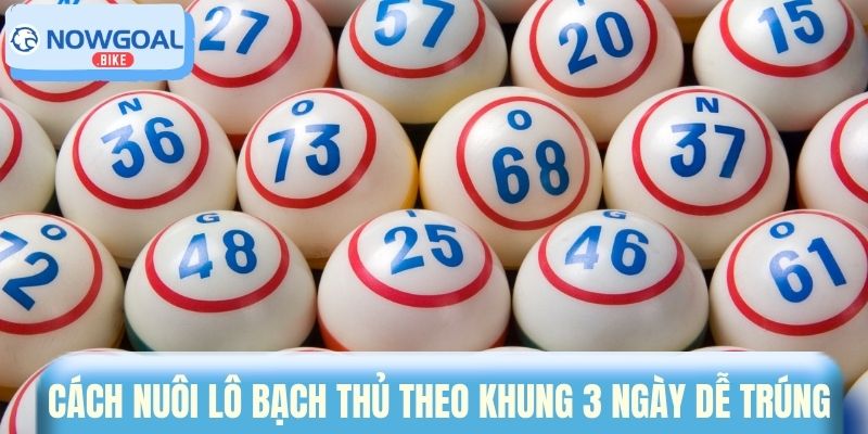 Cách nuôi lô bạch thủ theo khung 3 ngày dễ trúng