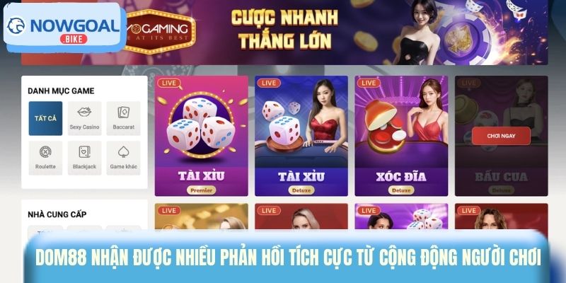 Dom88 nhận được nhiều phản hồi tích cực từ cộng động người chơi 
