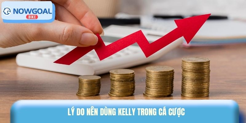 Lý do nên dùng Kelly trong cá cược